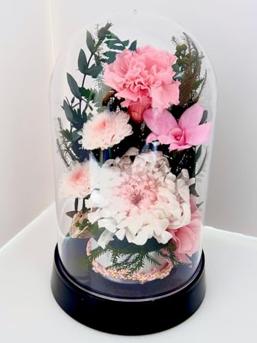  䋟 ]     d @v vU[uht[ ͂Ȃ h[P[X (y eh[)