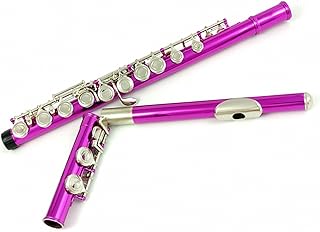 Flute 16 Hole Closed Hole C Key Musical Instrument Cupronickel Nickel Plated Rose Pink Flute With E Key flute instrument