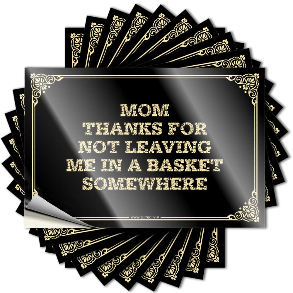 Man CABE Decor Accessories Funny Sticker | Mom-Thanks for Not Leaving Me in A Basket Somewhere Vintage Durable Vinyl Sticker Easy Apply for Cruise(8X12CM)