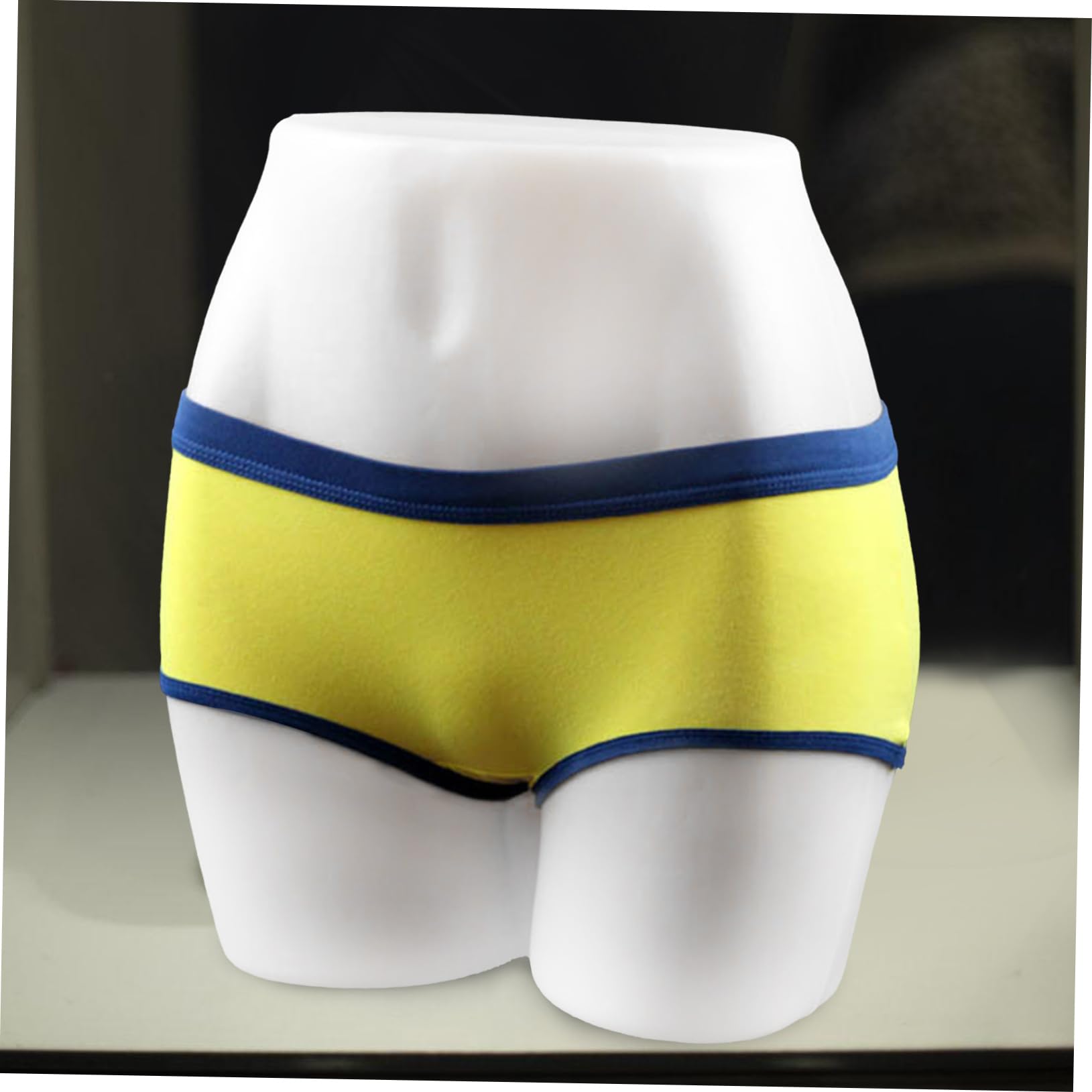 TOPBATHY Mannequin de Hanches Féminines Forme Complète Bas Corps Fesses Modèle Présentoir sous-vêtements Accessoire Vitrine Mannequin Lingerie