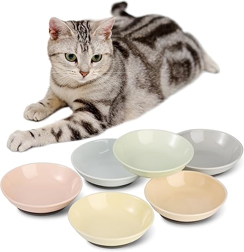 Juego de cuencos de cerámica para gatos  Cuencos coloridos para gatos con alfombrilla antideslizante  Cuenco ancho y poco profundo para gatos