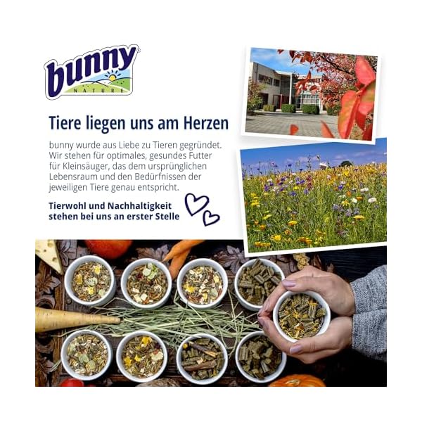 bunnyNature ZwerghamsterTraum Expert 500 g | Alleinfuttermittel für Zwerghamster | Vom Tierarzt empfohlen | Mit Power-Ingredients, Kleinsämereien & Mehlwürmern | Ohne Extrudate & Pellets | Ohne Obst – Bild 9