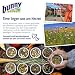 bunnyNature KaninchenTraum Young - Zwergkaninchen Alleinfuttermittel bis zum 6. Lebensmonat - Kaninchen-Futter mit 63 Erlesenen Pflanzen & Kräutern - 1,5kg