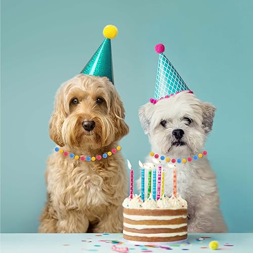 Miniatura 7 de Caydo 2400 pompones de 0.39 pulgadas, bolas de pompones pequeñas multicolor con 100 piezas de ojos ondulados para niños, proyectos de arte y