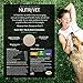 Nutri-Vet Hip & Joint Chewable Dog Supplements - Formulated with Glucosamine & Chondroitin for Dogs - 120 Count