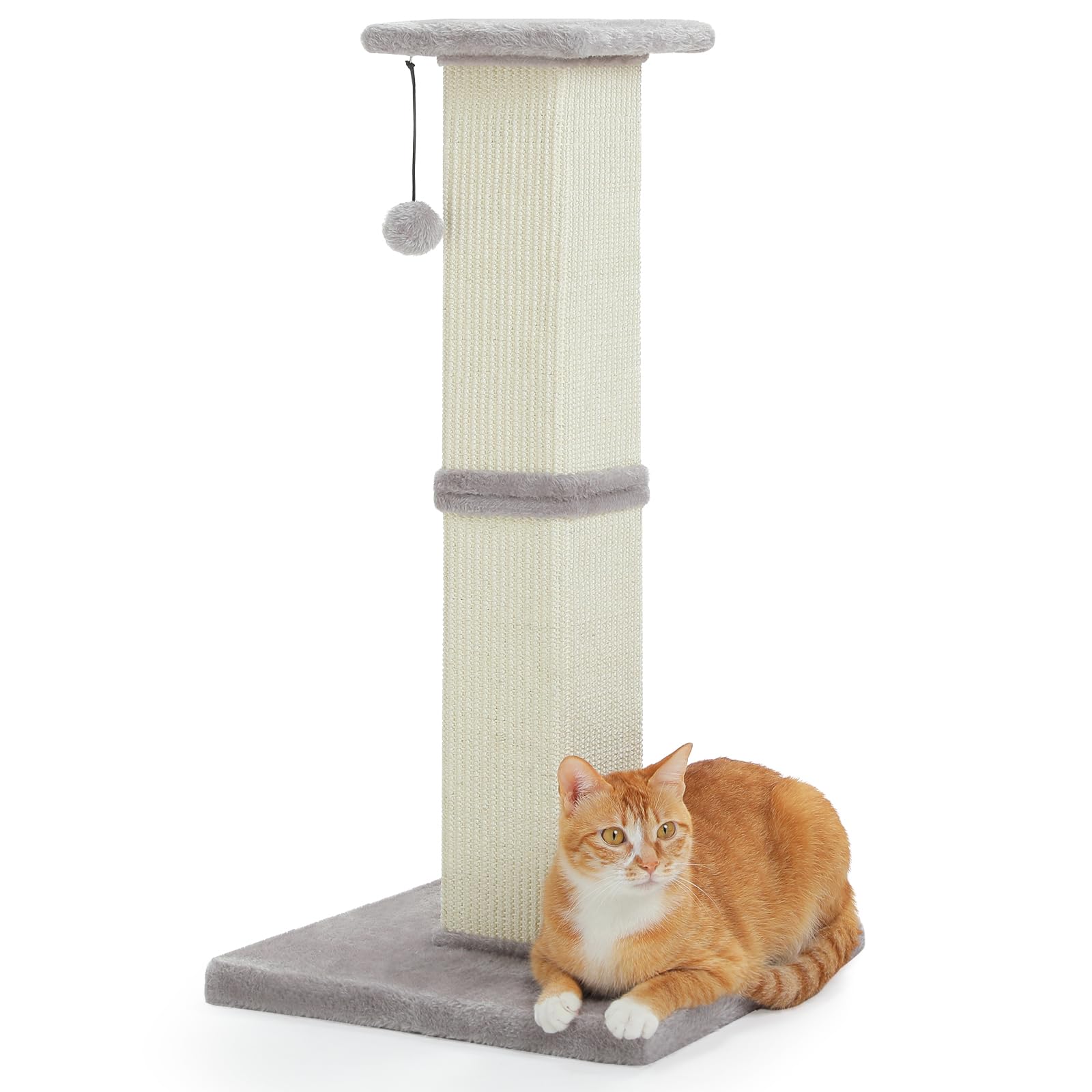 PAWZ Road Large Cat Scratching Post, 82 cm High Cat Scratching Post Indoor
