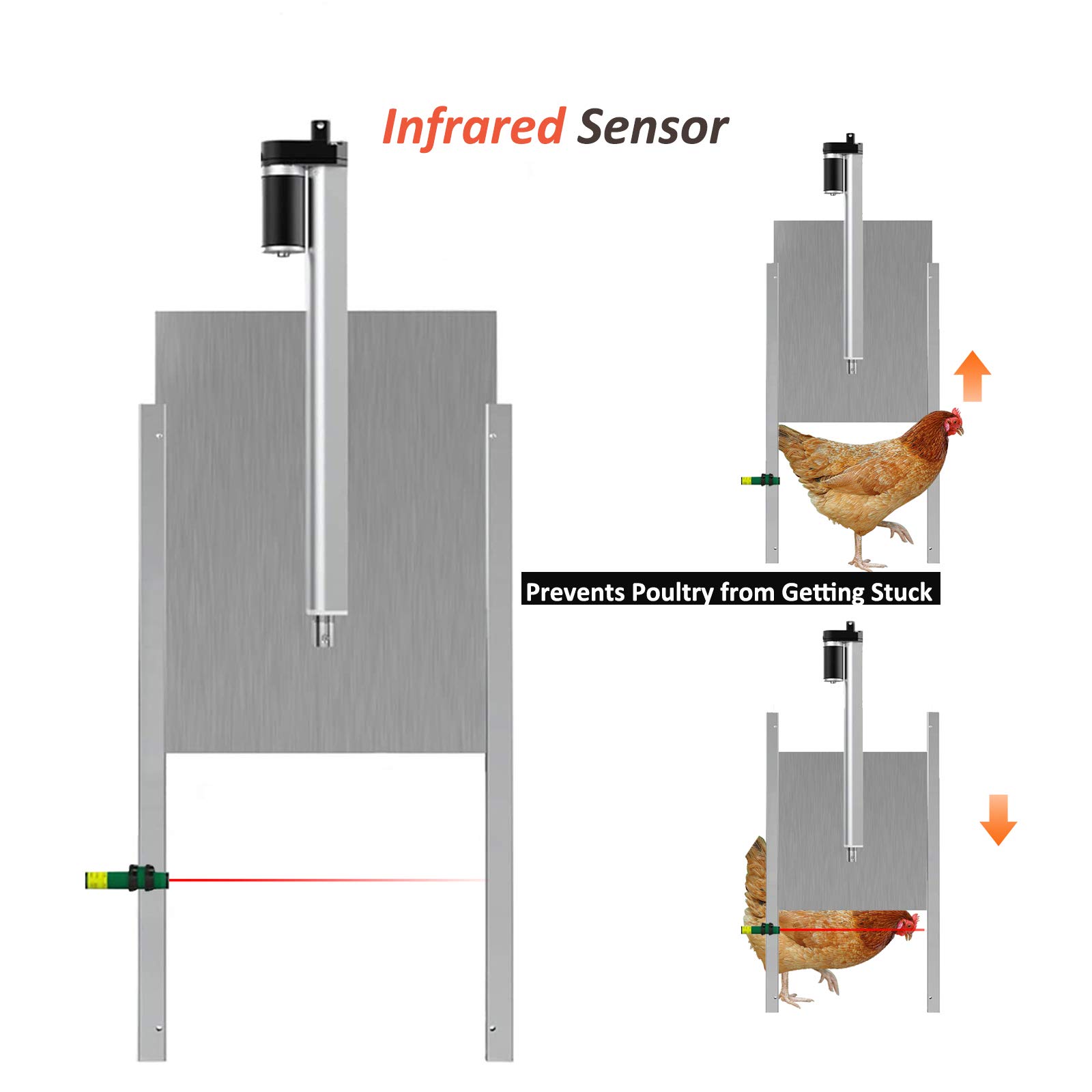 Apriporta Per Pollaio,Kit Di Apertura Automatica Per Porta Con Cursore 30x32cm Porta Per La Sicurezza Dei Polli (Timer)