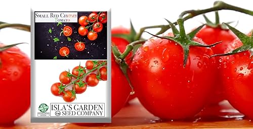 Semillas pequeñas de tomate cereza roja para plantar, más de 500 semillas tradicionales por paquete, semillas de jardín de Isla (semillas de jardín