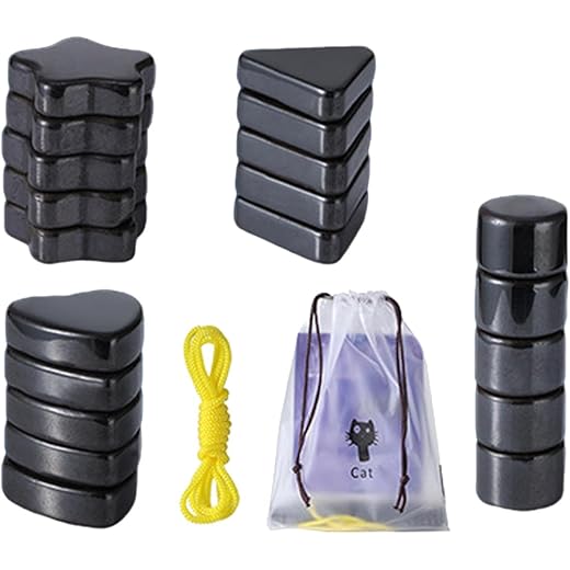THE STYLE SUTRA Magnetic Chess Interactive Chess Board Game for Indoor Camping Entertainment