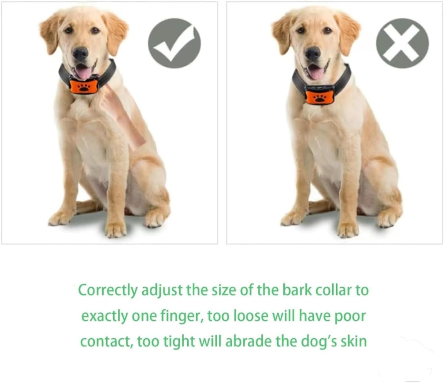 Utilisation collier anti-aboiement PuppySafe en extérieur