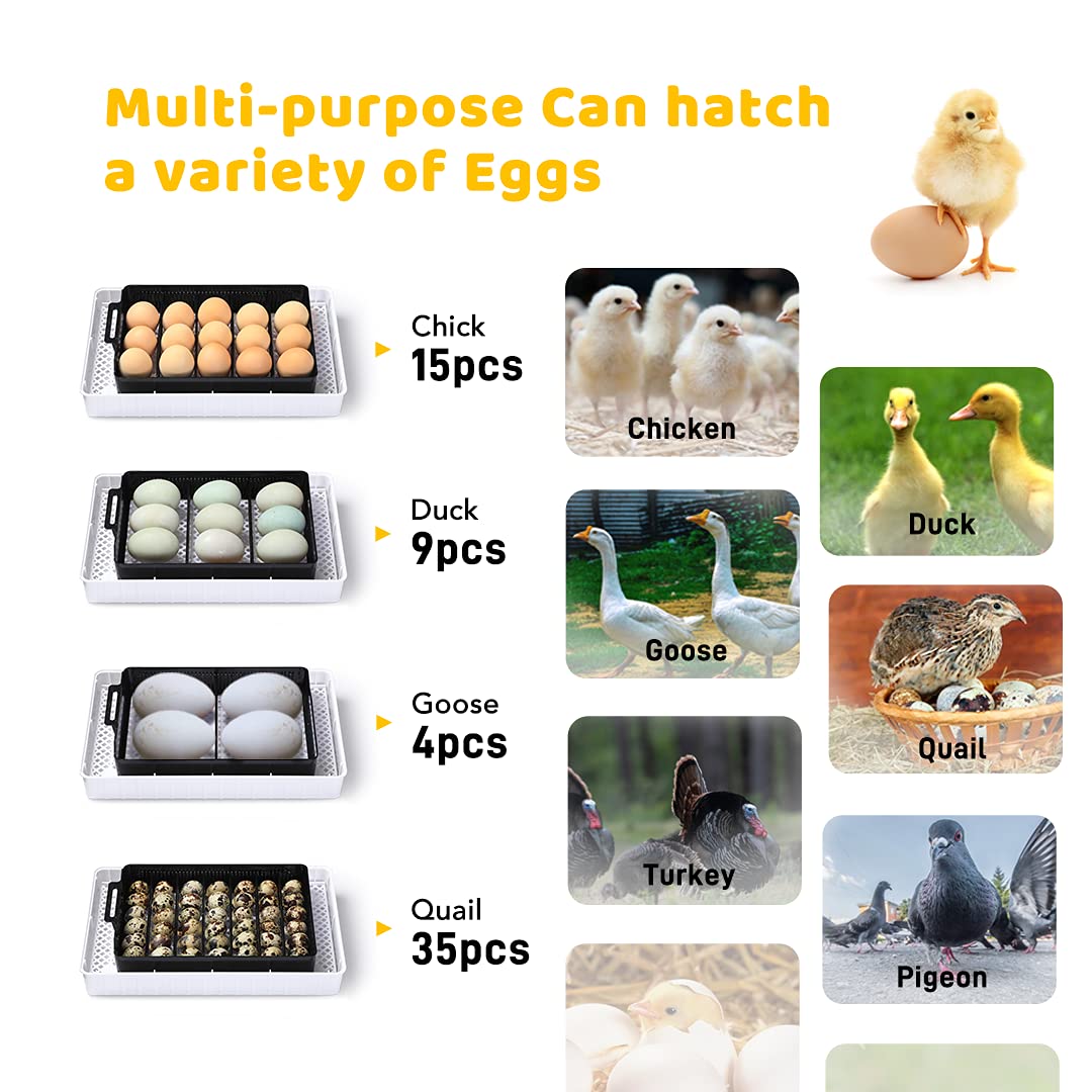 Incubator capacity for different egg types.