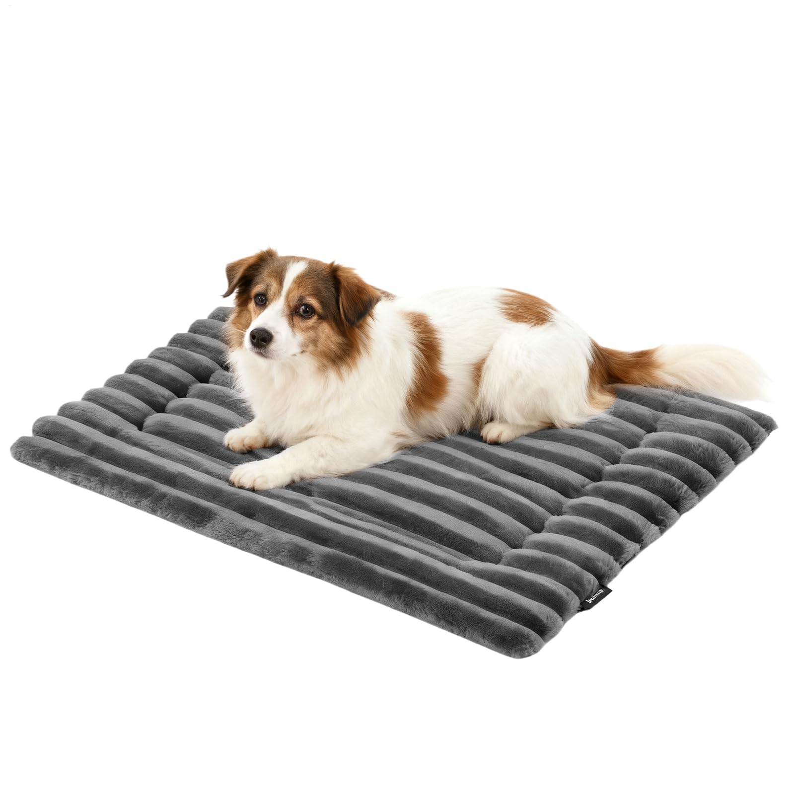 Tapis de cage pour animaux en voyage et camping le couchage nomade idéal