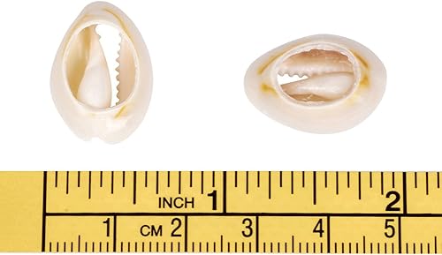 Vista 76 de Cheriswelry 50 cuentas de concha galvanizadas, conchas de cauri en espiral, conchas de mar, verano, playa, cuentas espaciadoras sueltas