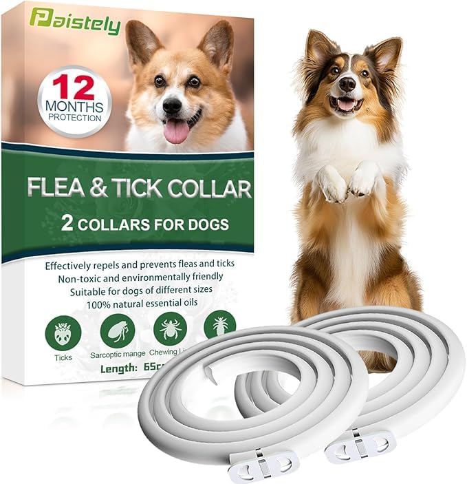 Collare Antiparassitario Per Cani, Collare Antipulci Cane Sicuro Ed Efficace Composto Da Oli Essenziali Naturali Al 100%, Efficacia 12 Mesi 65cm Collari Antizecche Per Cani Di Tutte Le Taglie (65cm)