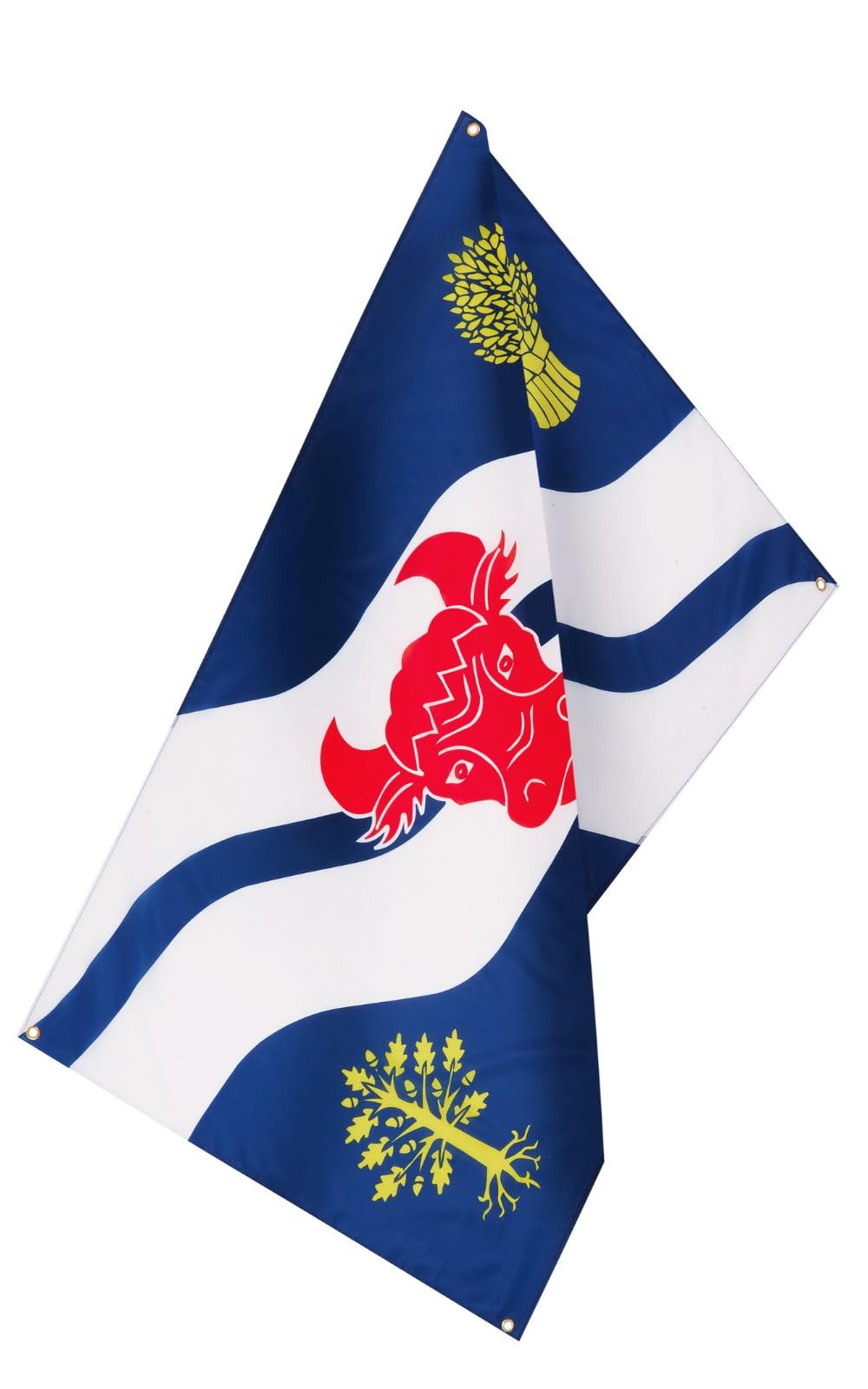 Runesol Oxfordshire Flag, 91x152cm, 3ft x 5ft, 4 Grommets, Eyelet In Every Corner, Oxfordshire Day, Oxford - Image 3