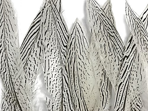 Moonlight Feather | 10 Pieces - 10-12" Natural Silver Tail Barred Black And White Pheasant Feathers Craft Wedding Costume Feathers #TOP3