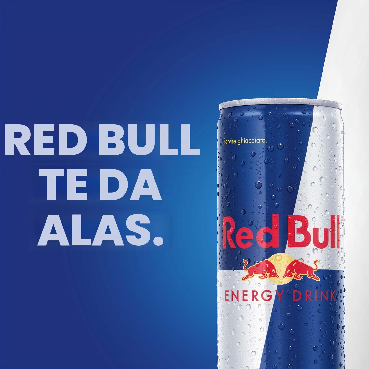 Red Bull Energy Drink 355ml (cartone da 24)