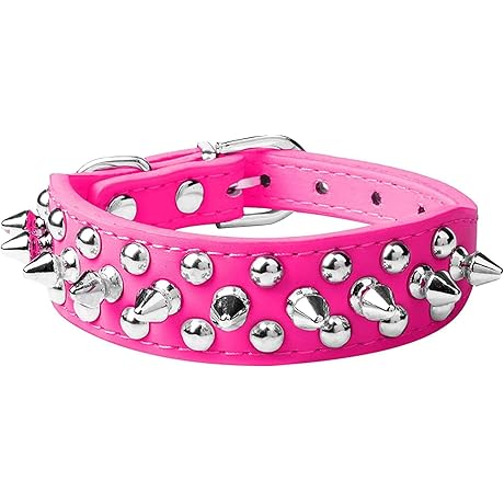 Chic and Edgy: Spiked Dog Collar in Vibrant Hot Pink
