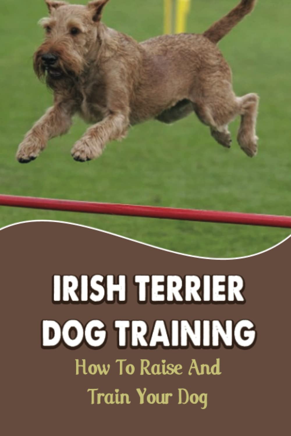 Irish Terrier Dog Training: How To Raise And Train Your Dog