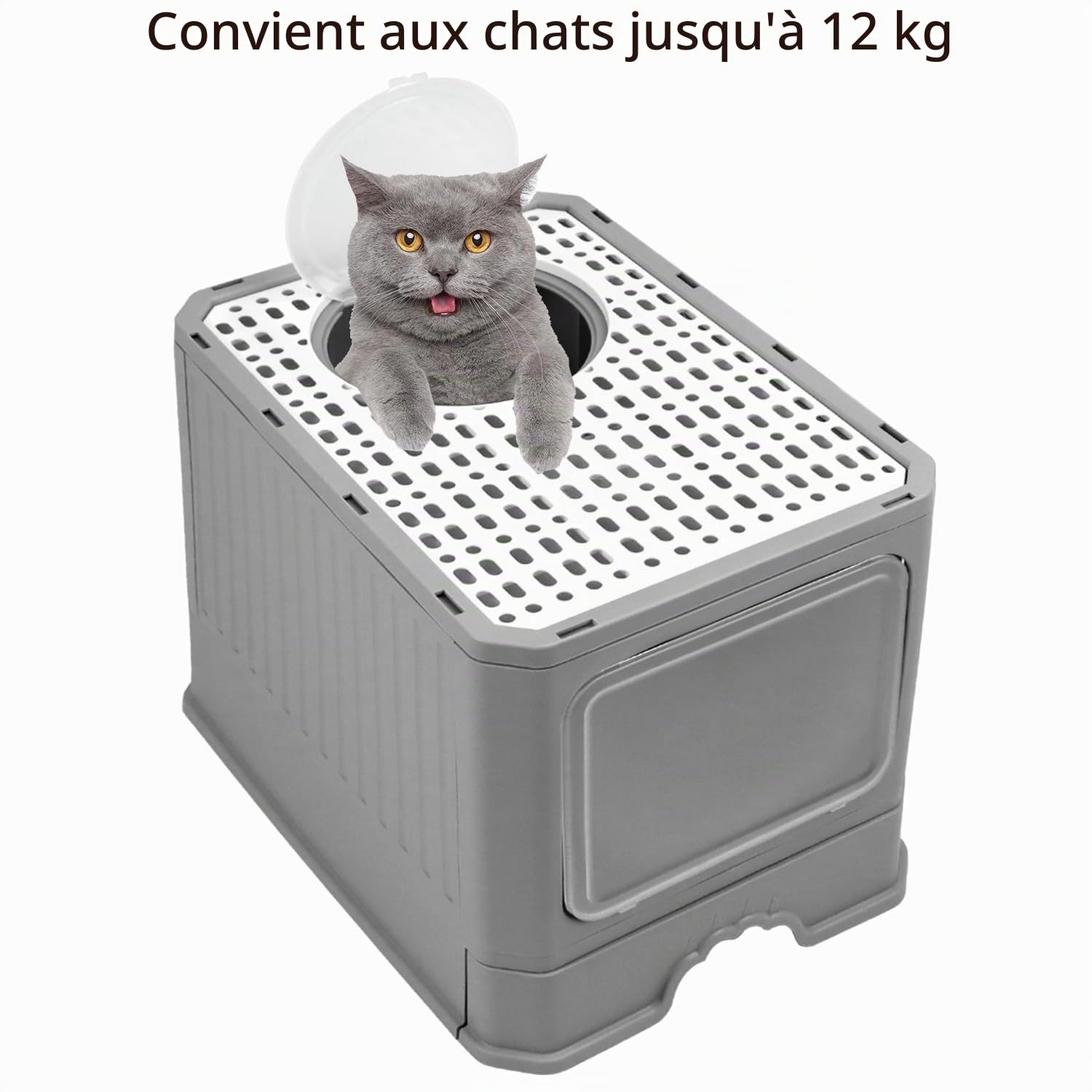QWORK® Caisse Chat litiere, Grand bac à litière pour Chat avec Couvercle et Pelle, pour Chats jusqu'à 12 kg, Gris