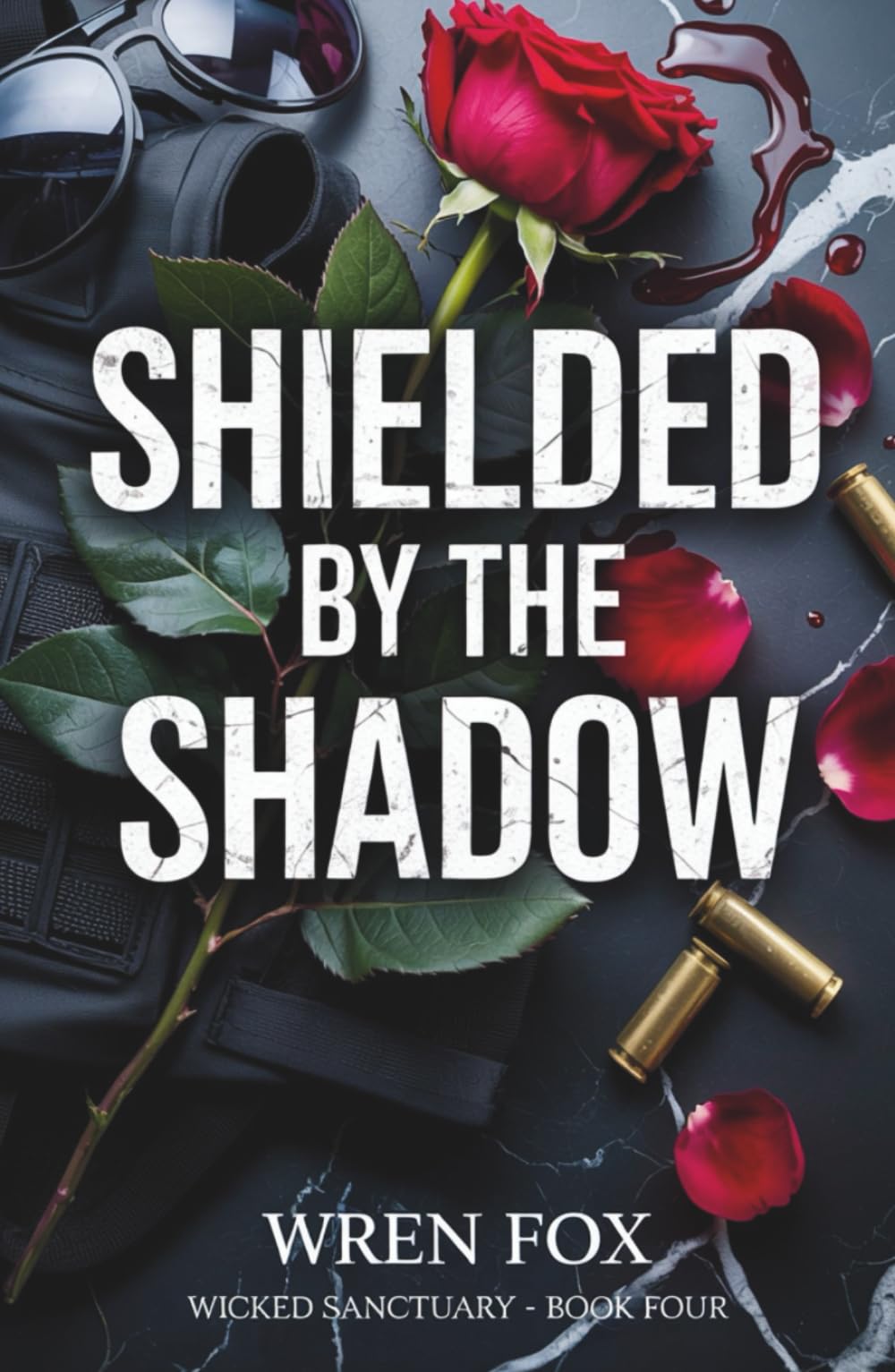 Shielded by the Shadow: A Dark Protector Romance (Wicked Sanctuary Book 4)