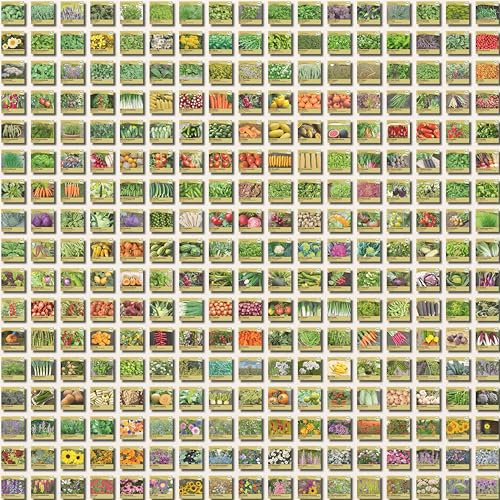 Foto von Samenliebe BIO Löwenzahn Samen | Wilder Löwenzahn - winterhart & mehrjährig - samenfestes BIO Saatgut