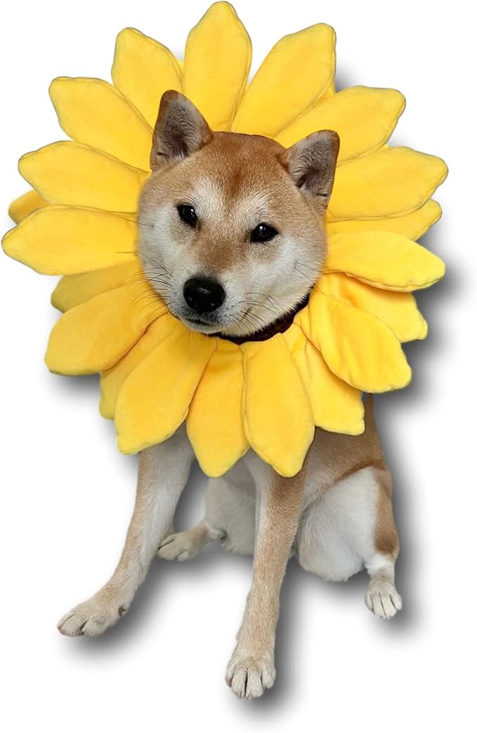 Disfraz de Girasol para Perro ComfyCamper - Talla S miniatura 2