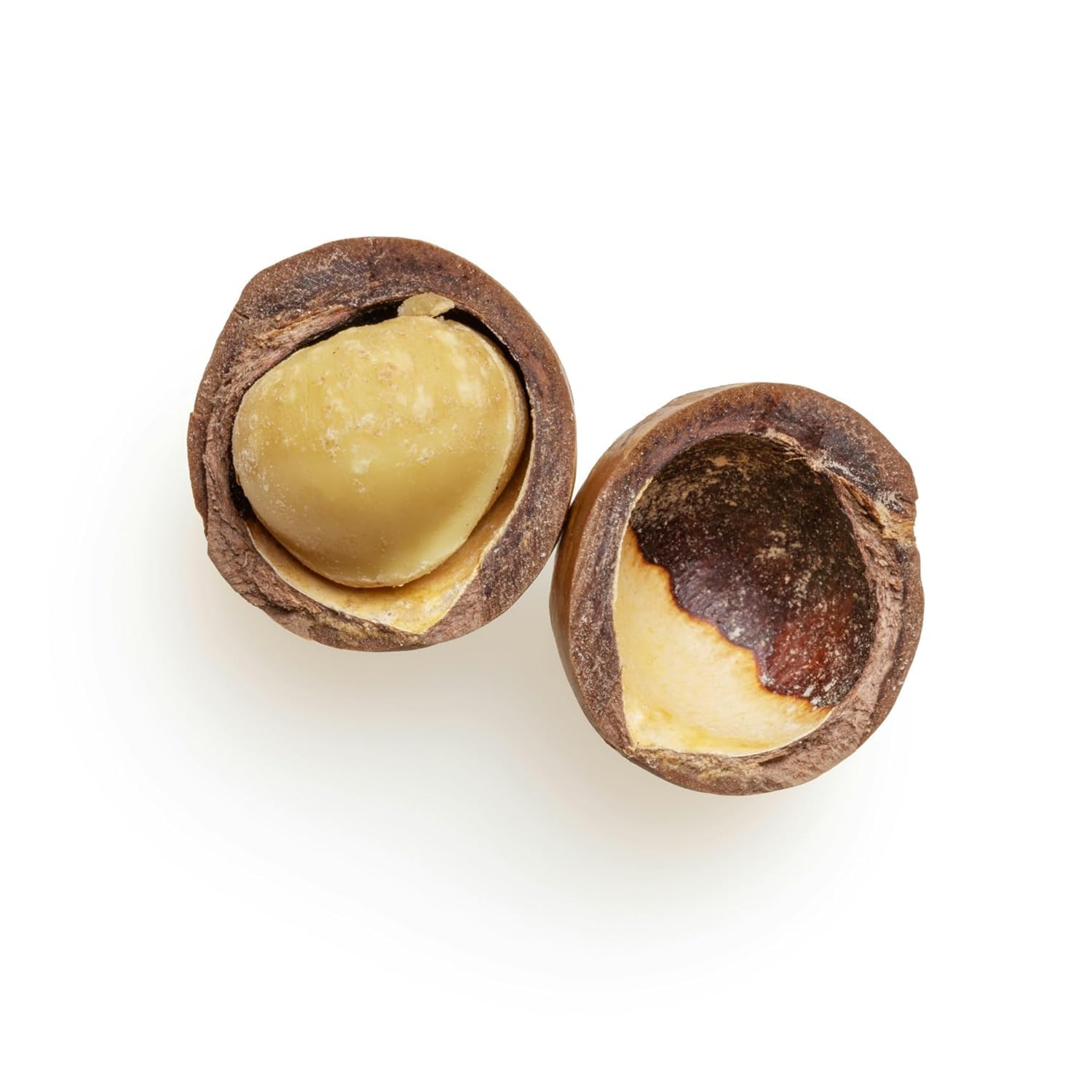 Bio Macadamianüsse 750g - Natur Macadamia Nüsse Roh Ungesalzen Hälften & Große Stücke von Foozia