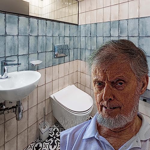 『LOCAL MAN IDENTIFIED AS SERIAL TOILET CLOGGER; SERIAL, NOT CEREAL』のカバーアート