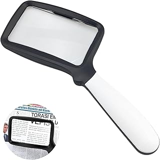 Lupa de Leitura de Documentos