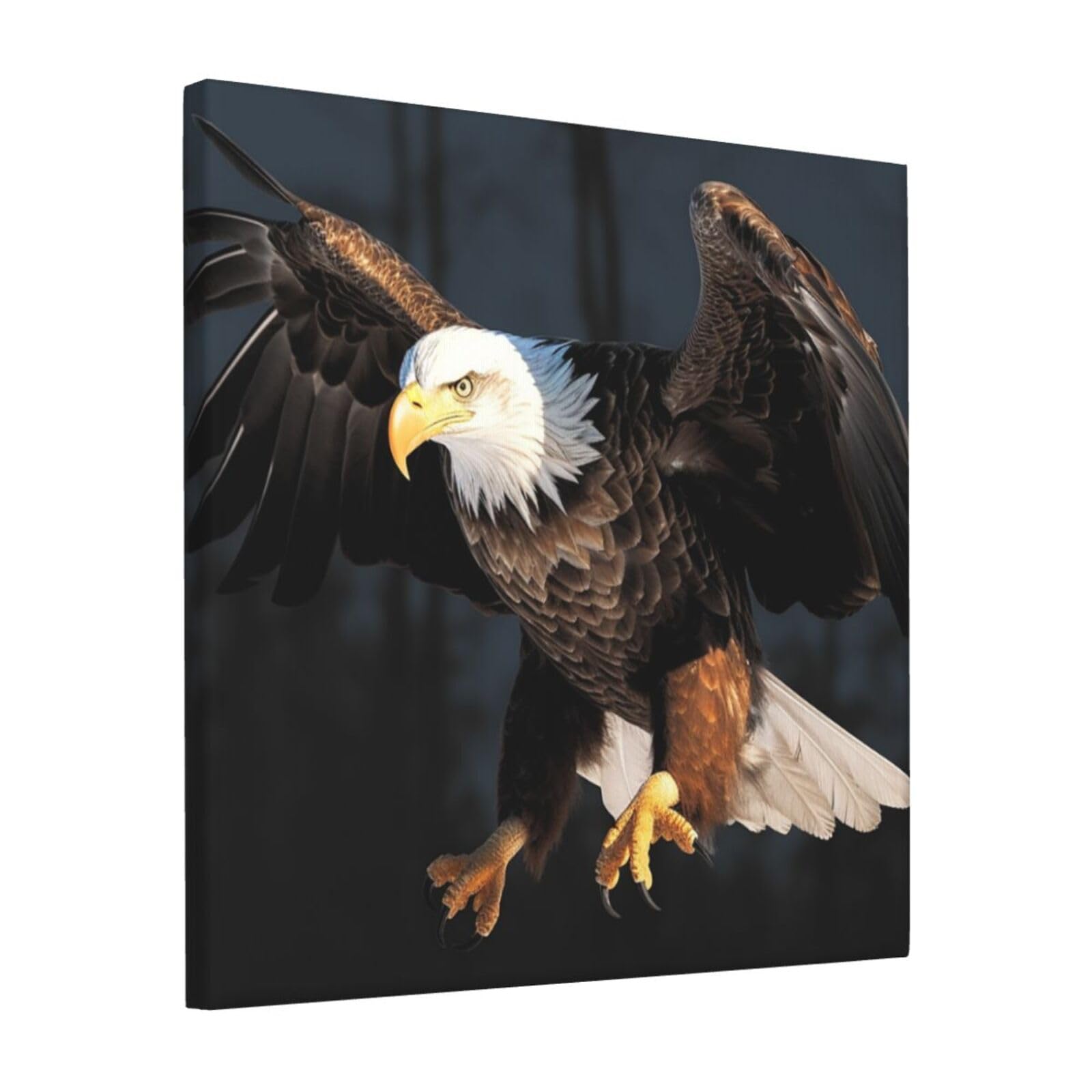 KLOPH Bald Eagle Canvas Wall Art for Living Room 12"x12" Modern Artwork Painting for Bathroom Hanging Canvas Prints Aesthetic Wallart for Bedroom Kitchen Office Wall Decor