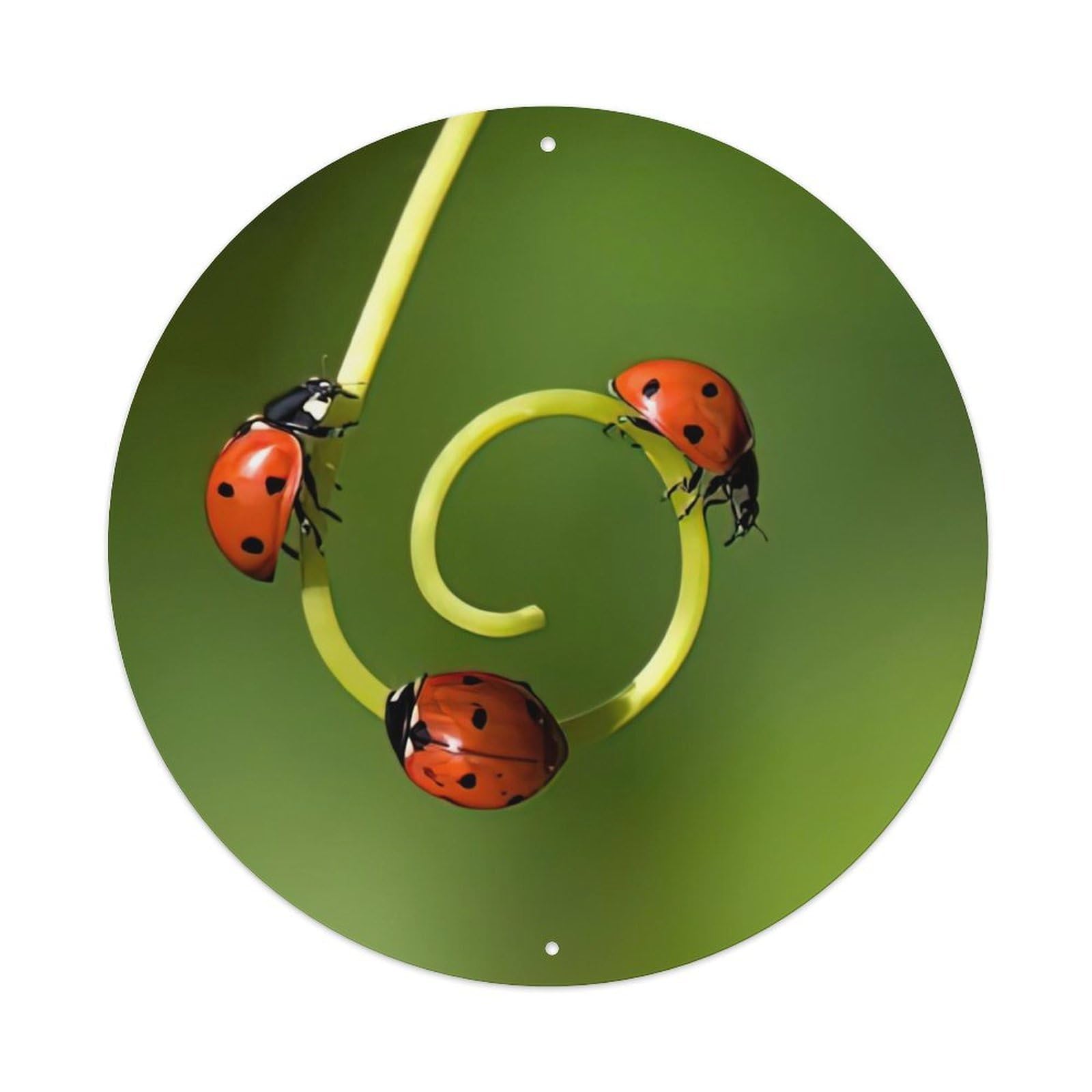 Insect Three Seven-star Ladybirds Vintage Metal Tin Sign Plaque Wall Decor for Cafe, Club Bar, Office, Garden Metal Poster 8x8Inch
