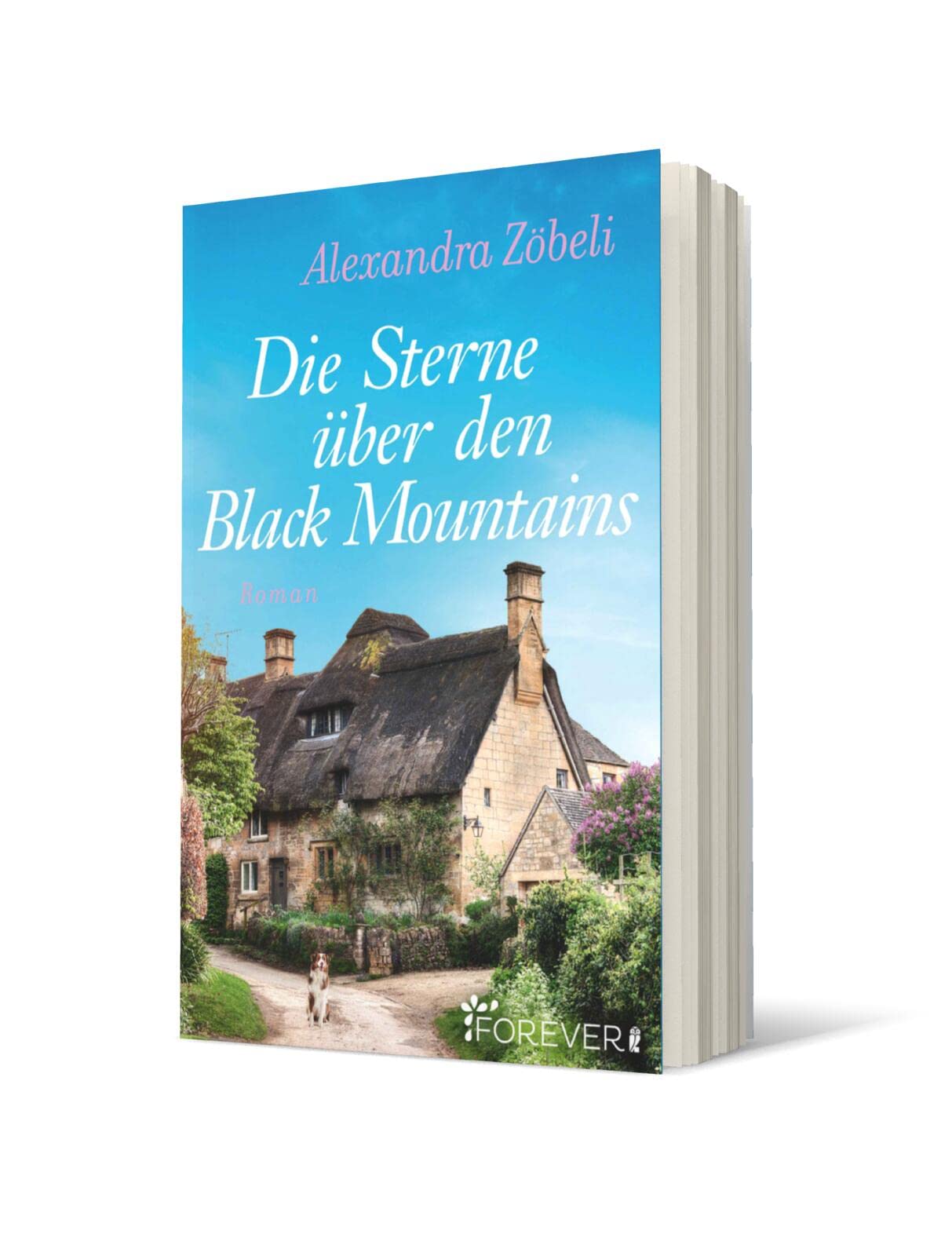 Die Sterne über den Black Mountains: Roman | Romantischer Liebesroman über Neuanfang auf einer kleinen Farm in Wales