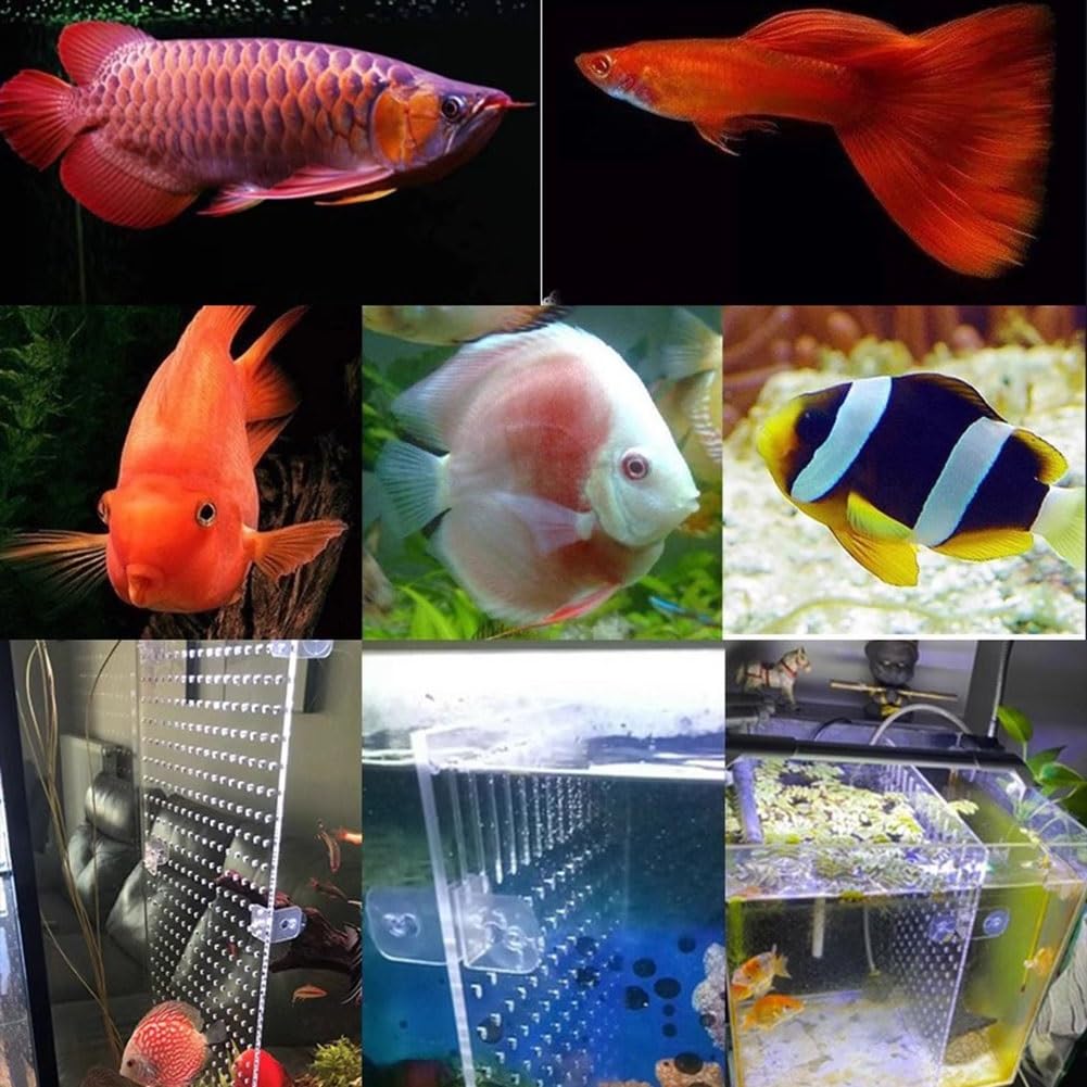 Divisor de Acuario, Divisor de acrílico para Tanque de Acuario, Tablero de Aislamiento Transparente, Divisor de pecera con ventosas, Accesorios para distinguir a los Peces y Evitar la agresividad de