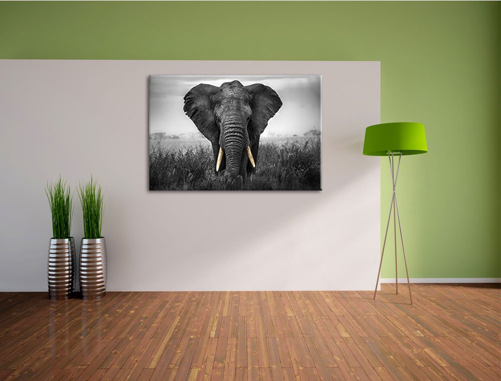 Leinwandbild „Elefant Auf Ast In Der Wüste“ – 60x40 Cm, Fertig Gespannt
