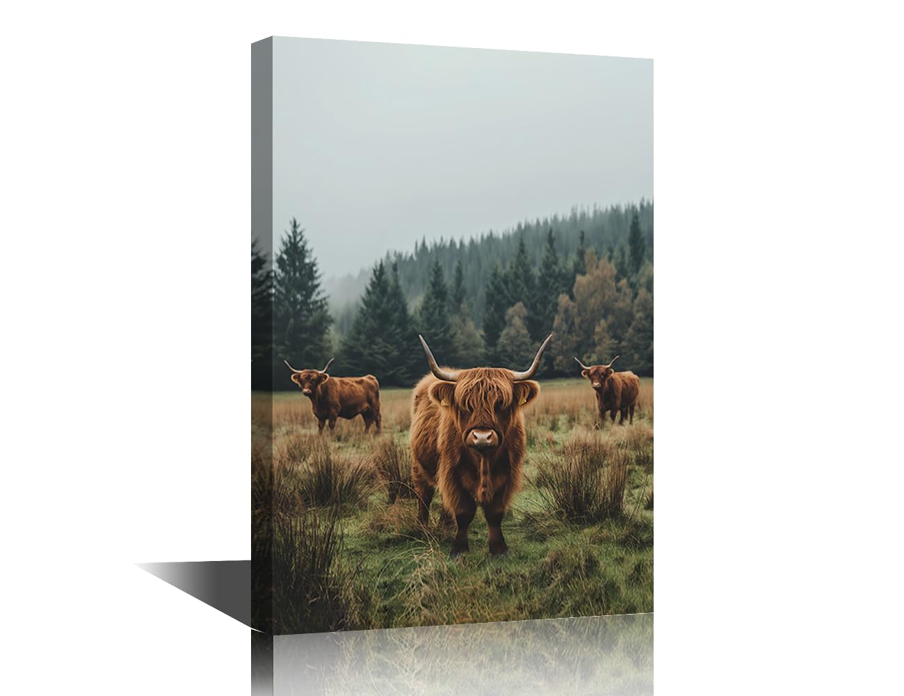 TISHIRON Scottish Highland Cattle Wall Art 1 Pieces Wildlife Canvas Art Wall Decor Natural Landscape Canvas Wall Art for Living Room Contemporary Home Decor Framed Ready to Hang (24" Wx36 H)