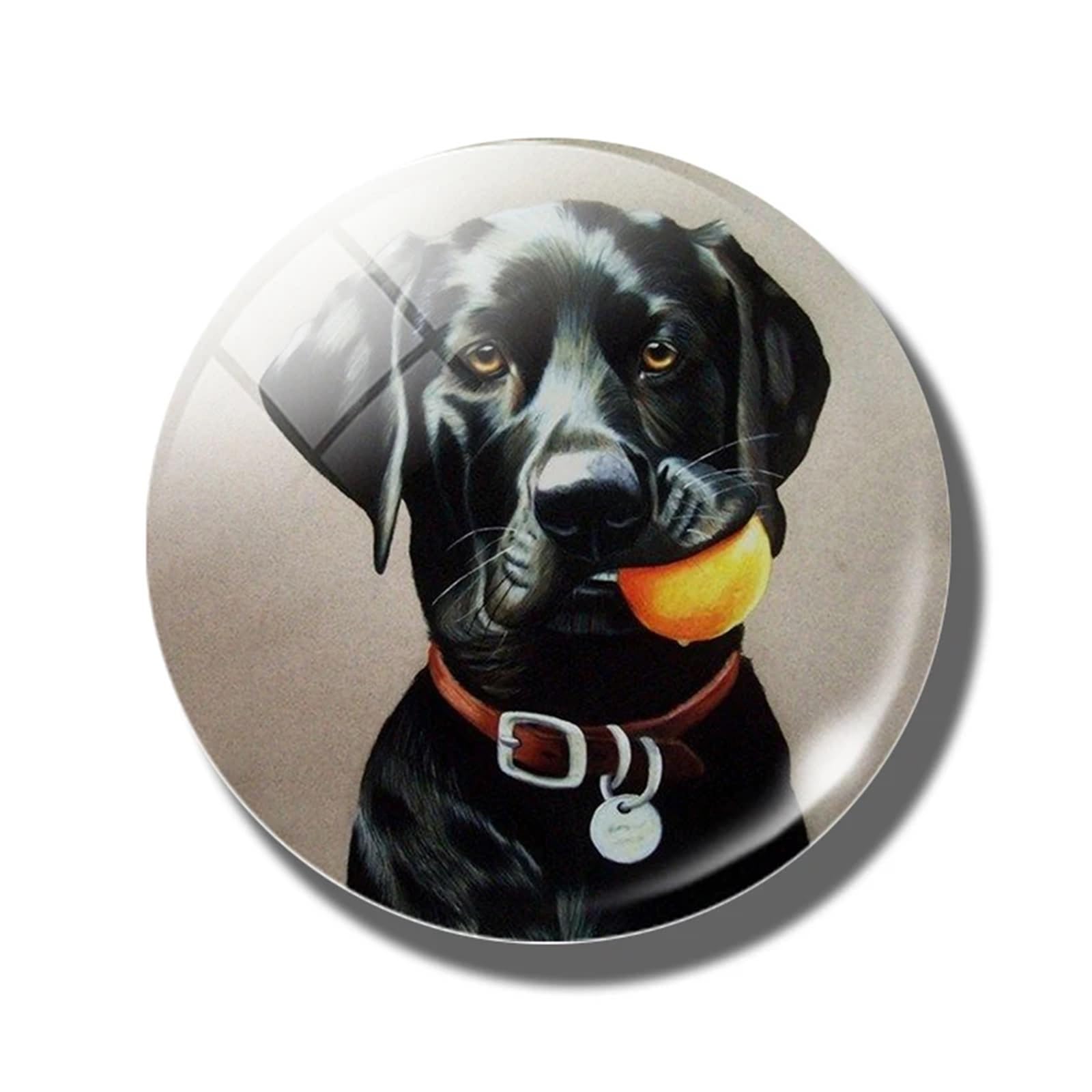 Glass Magnets 6pcs 30 MM Fridge Magnet Lover Glass Dome Magnetic Refrigerator Stickers Note Holder Home Decoration(Color-17)