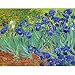 Puzzle Adulte 1000 Pièces_Les célèbres Tableaux de Van Gogh_Abstrait Bricolage Moderne Art Mural Cadeau Unique_Home Decor_50x75cm(19.68x29.52 in)