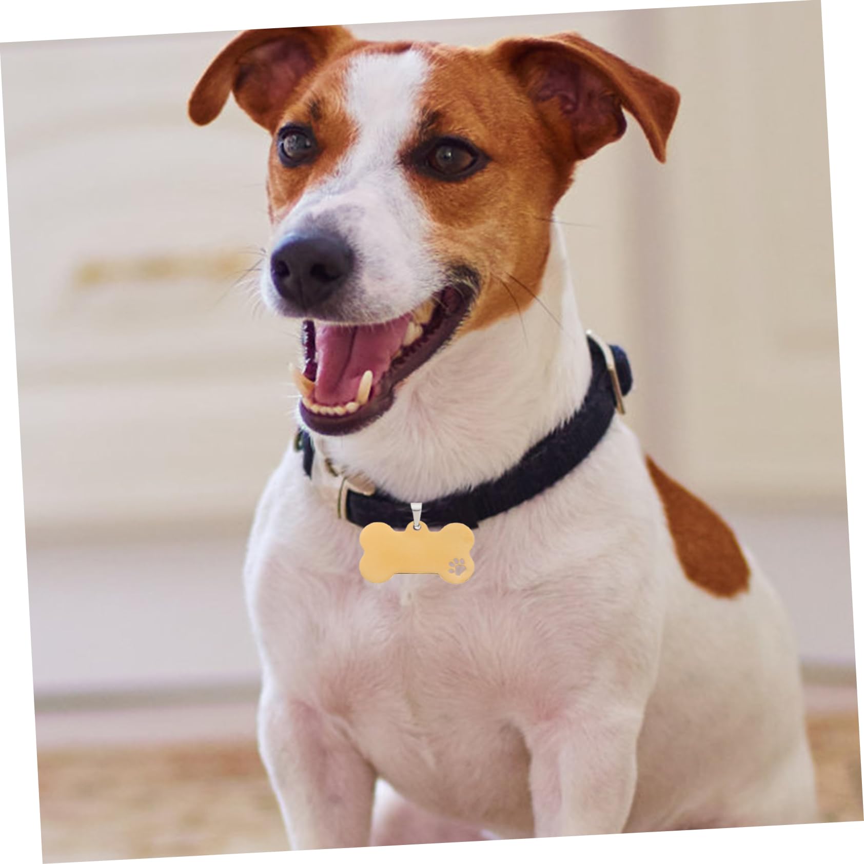 Mipcase 15pezzi Medagliette Inossidabile Per Targhette Per Domestici Incisione Personalizzata Accessori Per Pet