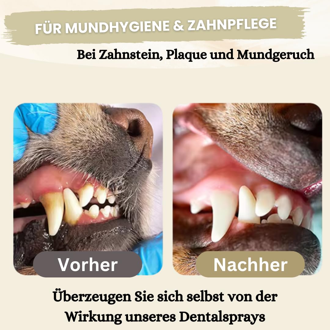 Dentalspray für Hunde & Katzen -150 ml - Zahnspray – 100% natürlich, effektiv gegen Zahnstein, Mundgeruch, Plaque - zur Zahnreinigung & Zahnsteinentfernung, frischer Atem - Zahnpflege Hund