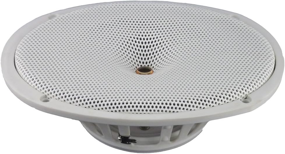 DC GOLD AUDIO N69C 6x9" Classic Series Speakers - 4 OHM - (Pair) White