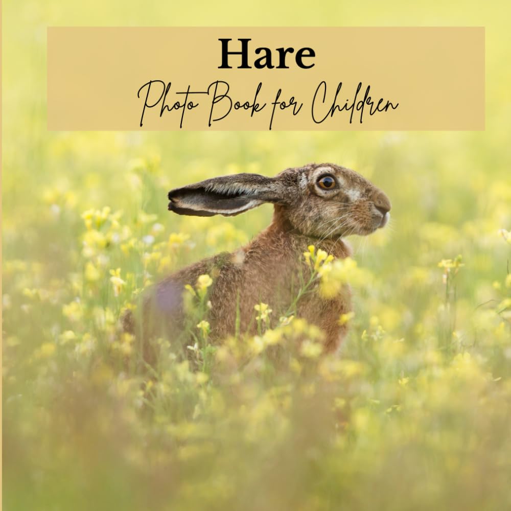 Hare: Photo Book for Children