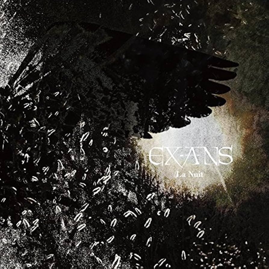 邦楽 EXANS Habit of Sex / La Nuit / REI DVD Amazon.co.jp: La Nuit(通常盤): ミュージック