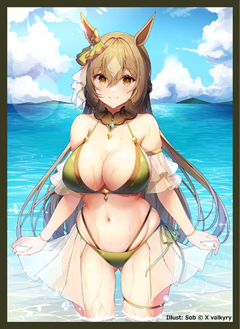 Amazon.co.jp: サトノダイヤモンド カードスリーブ ウマ娘 水着