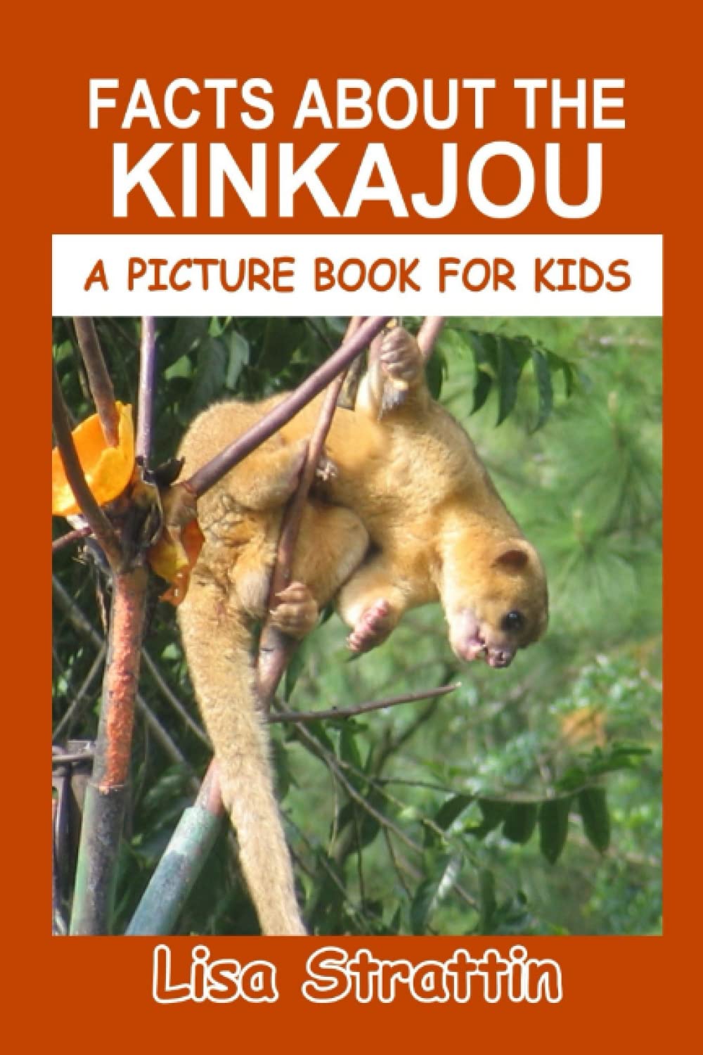 Facts About The Kinkajou (A Picture Book For Kids)