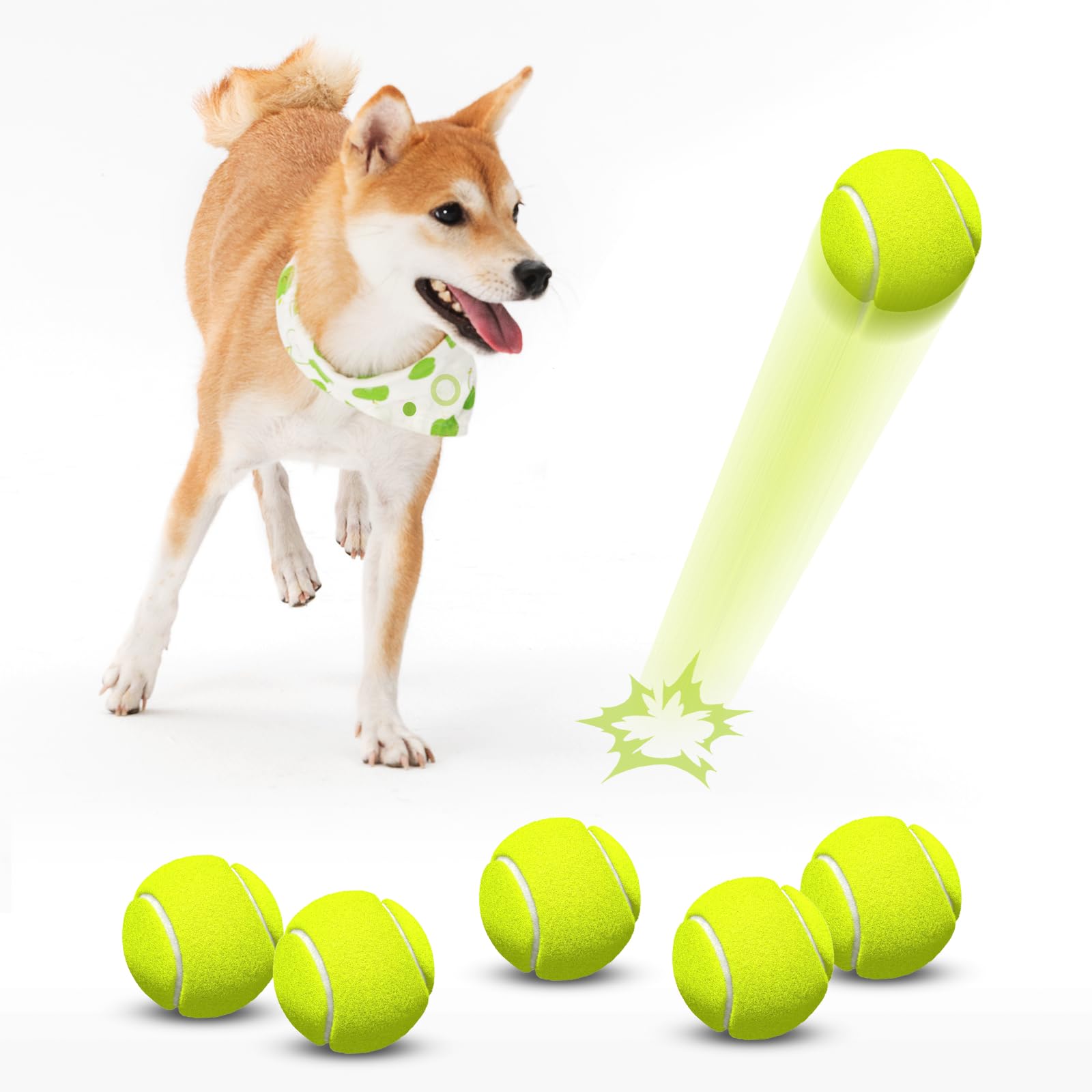 HETOO Tennis Balls for Dogs 6 Pack 2 5 Inch Dog Balls- Dog Tennis Ball- Outdoor Dog Toys