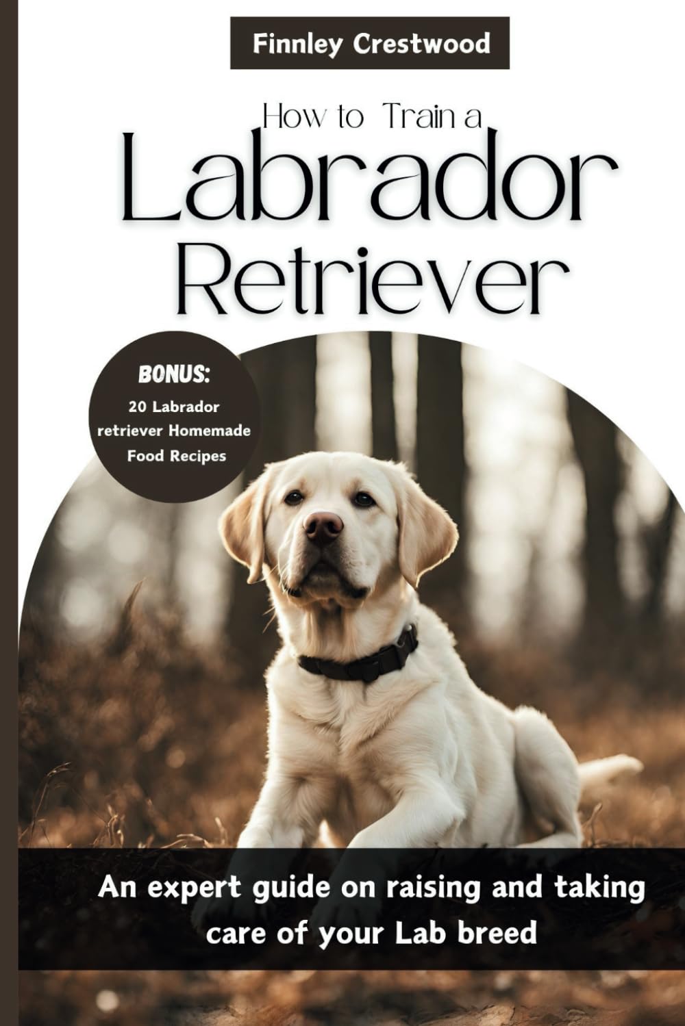How to Train a Labrador Retriever: An expert guide on raising and taking care of your Lab breed