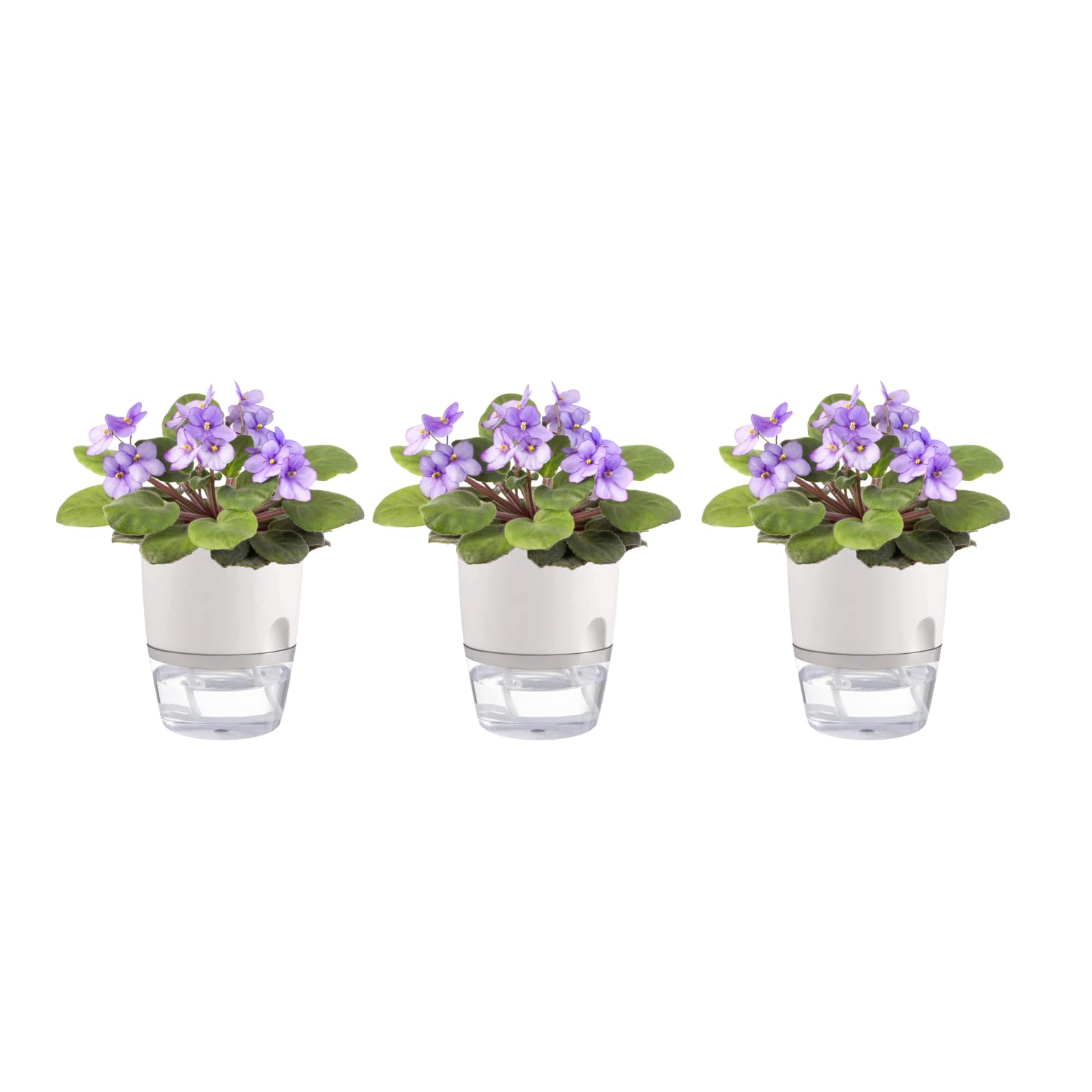 3.2 Inch Self Watering Planters Plastic Planter Pots 3 Pack Wicking Flower Pots Modern Decorative Planter for Small African Violets House Plants,Herbs,Indoor Outdoor Plant (White)