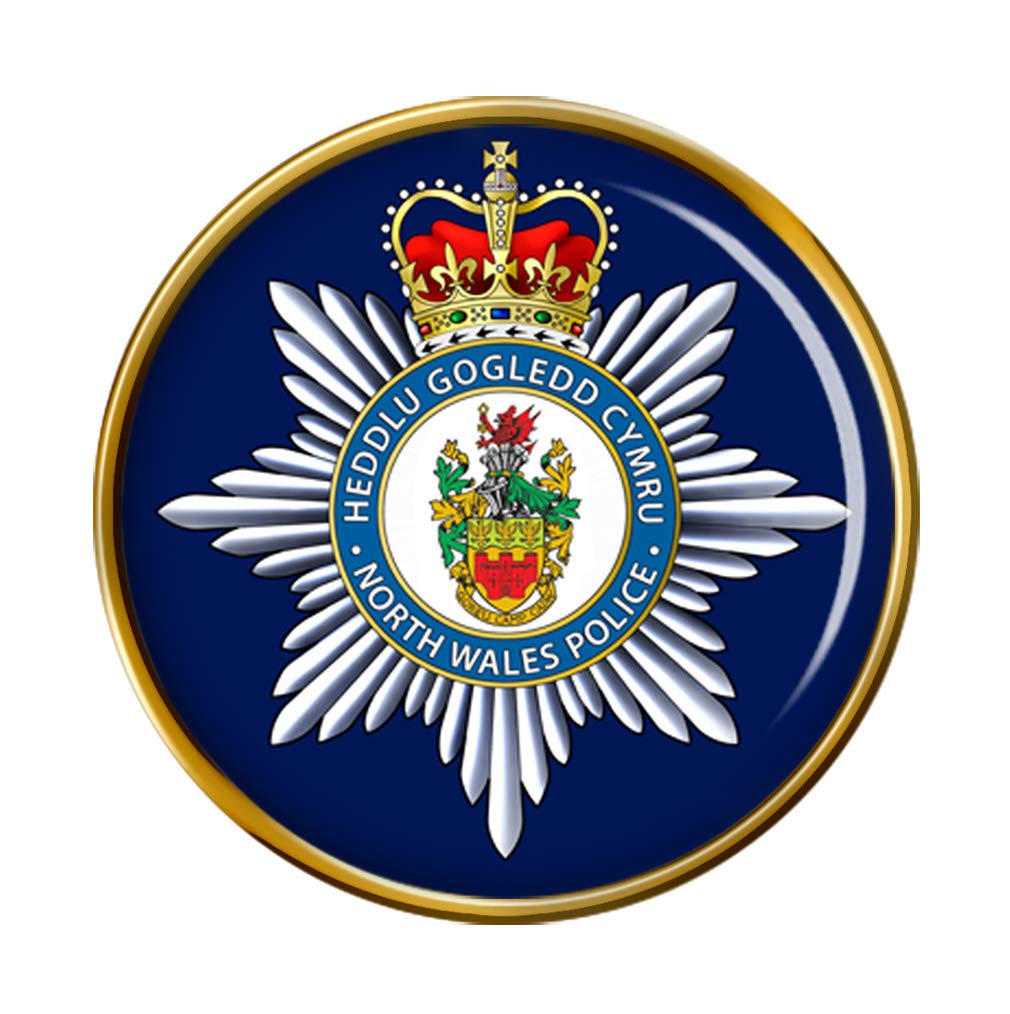 North Wales Police Pin Badge