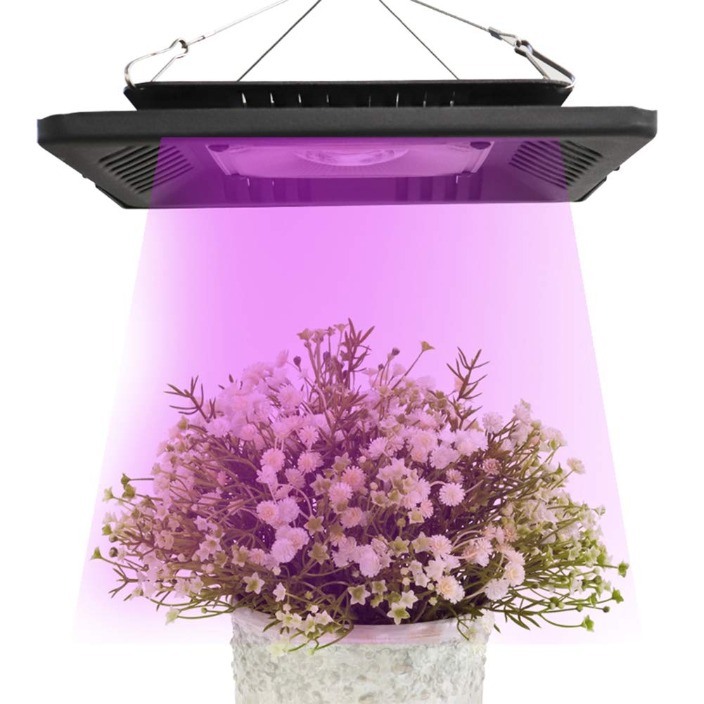 Pinumi Black Led Grow Light Full Spectrum 50W Ip67 Waterproof Cob Grow Led Flood Light For Plant Indoor Outdoor Hydroponic Greenhouse